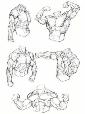 手绘人体结构过程（人体结构手绘图大赛）-图3