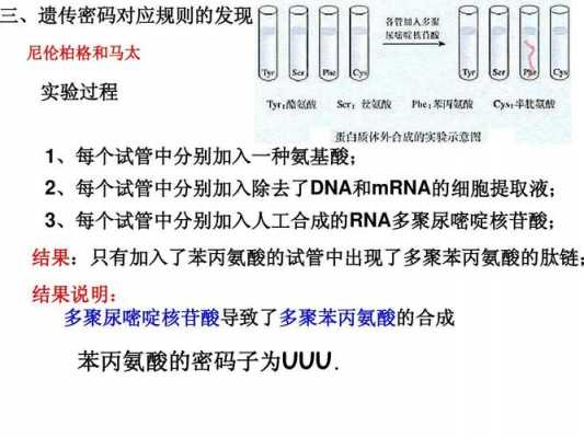 破译遗传密码的过程（破译遗传密码的科学家是）-图3