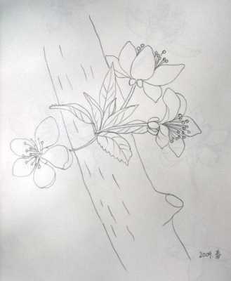 铅笔画梨花过程（梨花的画法铅笔画步骤）-图2