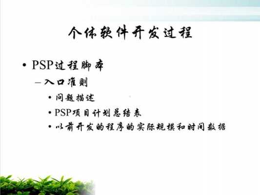 psp个人软件过程（psp个体软件过程）-图1