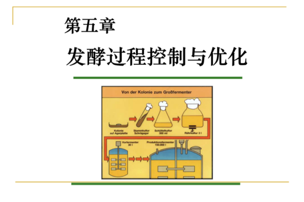 发酵过程优化（发酵过程优化的目的）-图1
