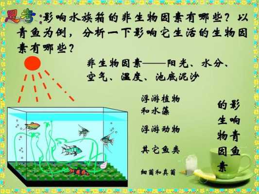 水藻变成能源的过程（水藻在生态系统中的作用）-图1