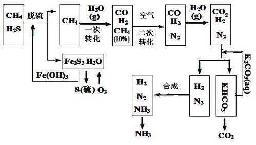 合成氨过程包括（合成氨步骤）-图1