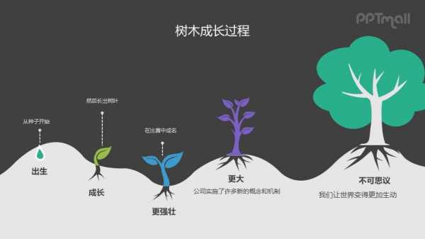 树的发育过程图（树的发育过程图解）-图1