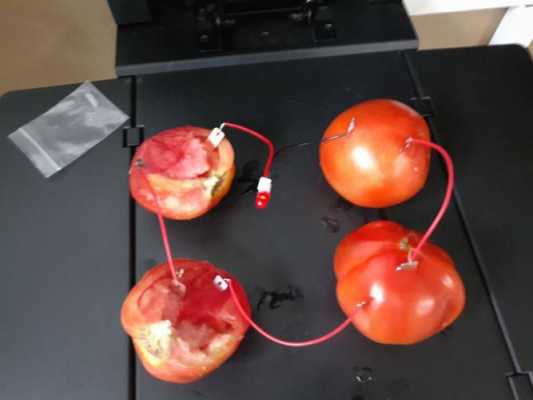 制作西红柿电池过程（西红柿发电的步骤）-图1