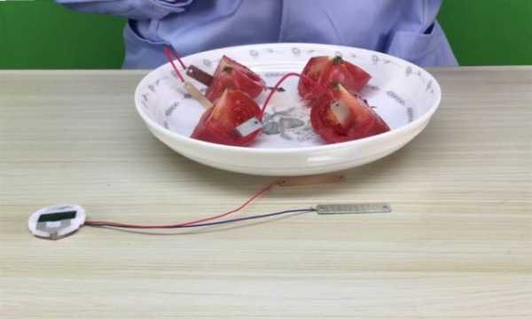 制作西红柿电池过程（西红柿发电的步骤）-图3