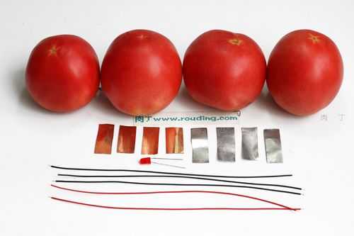 制作西红柿电池过程（西红柿发电的步骤）-图2