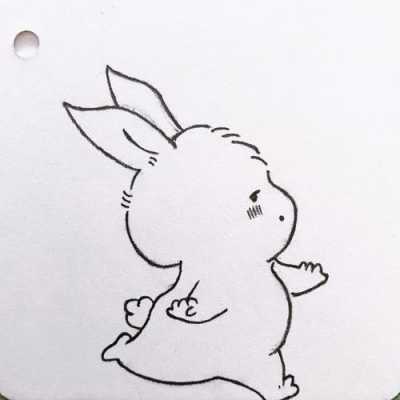 简单的画兔子过程（简单画法兔子）-图3