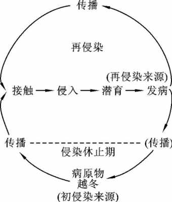 传播过程的循环模式（传播过程的循环模式包括）-图3