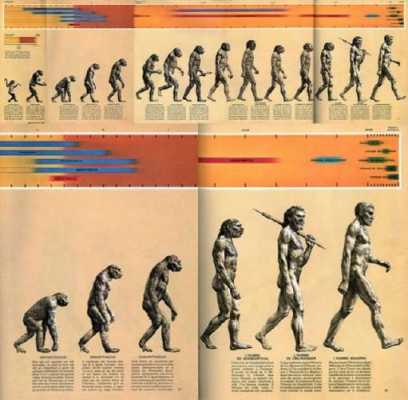 人进化的过程（人进化的过程有虫子吗视频）-图3