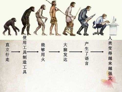 人进化的过程（人进化的过程有虫子吗视频）-图1