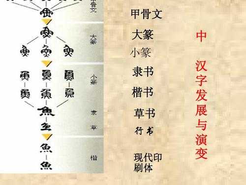 独体汉字演变过程（独的汉字演变）-图3