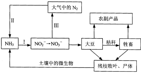 简述土壤氮素循环过程（土壤氮循环及其环境效应）-图2