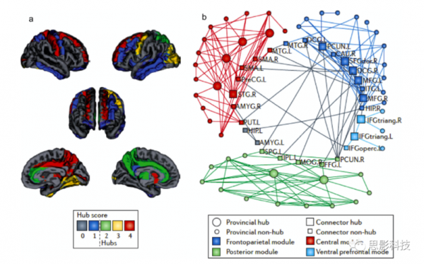 脑连接组研究过程（人脑连接组学）-图2
