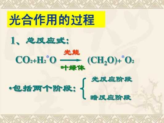 光合反应图解过程（光合反应的化学式是什么呀）-图1