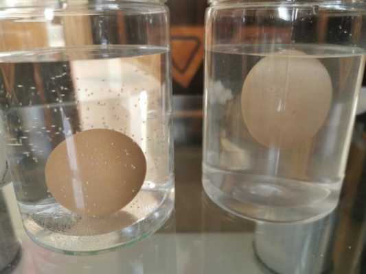 鸡蛋变轻过程（鸡蛋变软实验视频）-图2