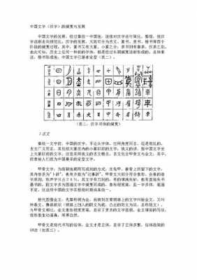 汉字的演变过程100字（汉字的演变过程100字以内）-图1