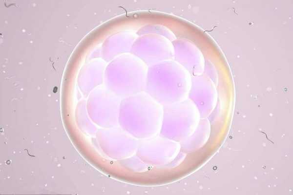 冷冻胚胎苏醒过程（冷冻胚胎苏醒时间要几天）-图3