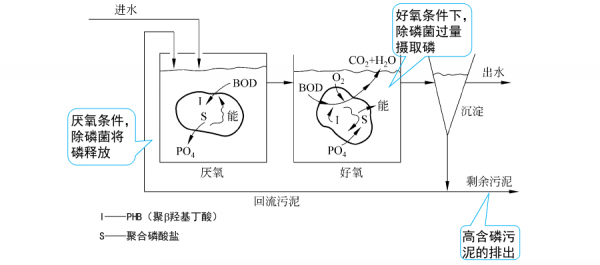 生物除磷的过程（生物除磷过程中不需要提供有机碳源）-图2