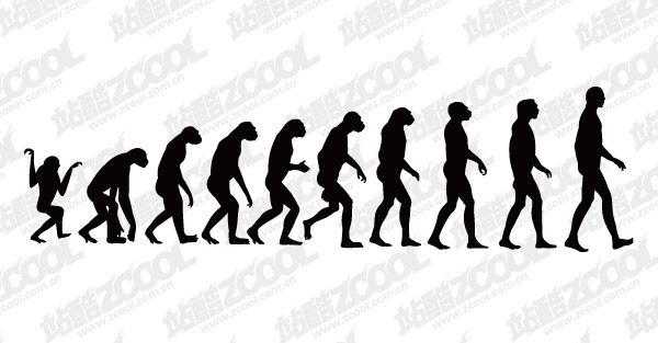 人类的进化过程名称（人类的进化史过程）-图1