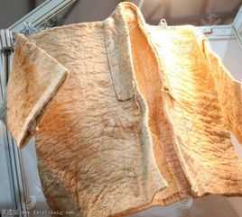 破布树皮造纸过程（树皮布的制作过程）-图3