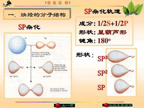 sp杂化过程图（sp杂化什么形状）-图1