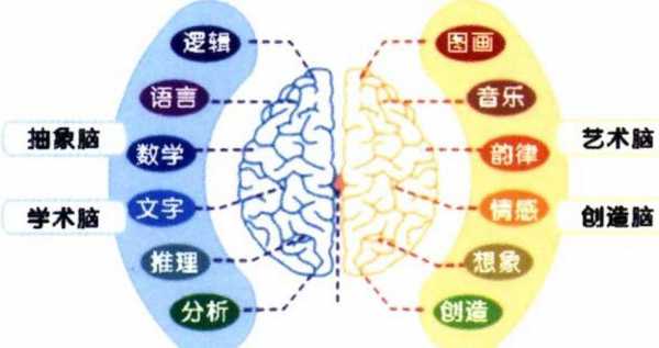 大脑认知过程（大脑认知是什么意思）-图3