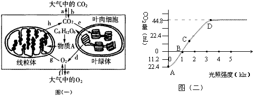 ab过程增加细胞数量c过程（a细胞经过a过程行成b1~b4）-图2