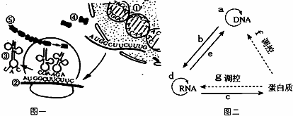 ab过程增加细胞数量c过程（a细胞经过a过程行成b1~b4）-图1