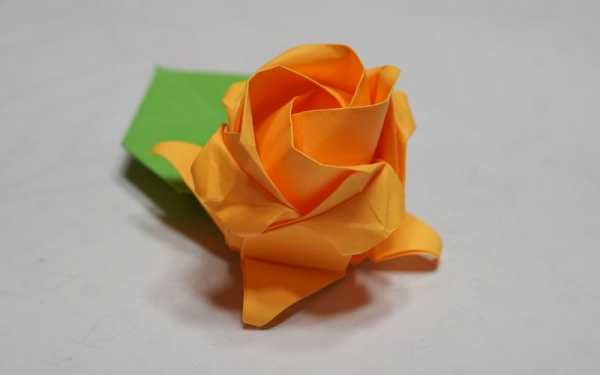 植物花朵折纸过程（植物花朵折纸过程图片）-图3