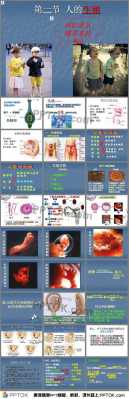 人类的主要生殖过程（人类的主要生殖过程是什么）-图3