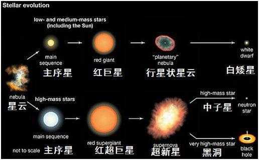 重质量恒星可能的演化过程是什么（大质量恒星是怎么形成的）-图2