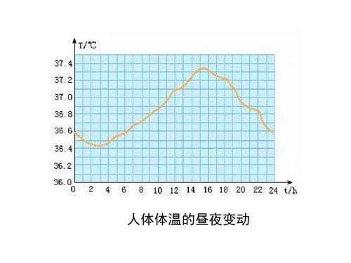 体温变化过程（体温变化过程图片）-图1
