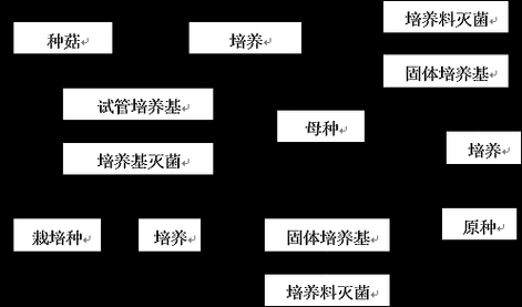 菌种制备与发酵过程（菌种发酵工艺流程图）-图1