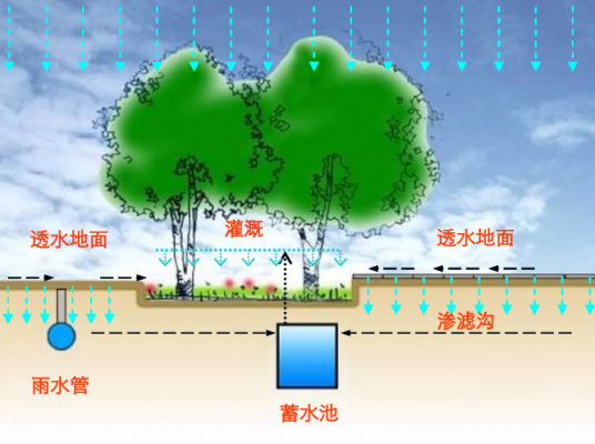 地面雨水收集过程（雨水收集方法和途径）-图2
