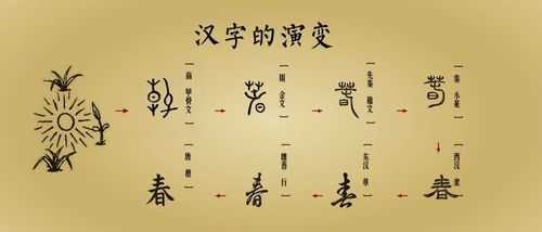 汉字演变的过程是（汉字演变的过程顺序是）-图3