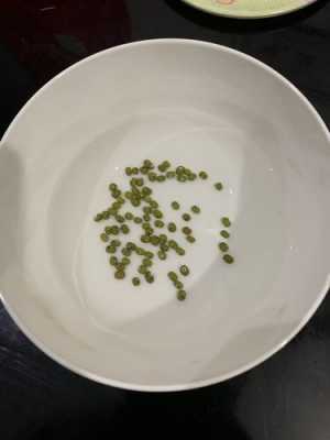 绿豆实验的过程（做绿豆实验）-图1