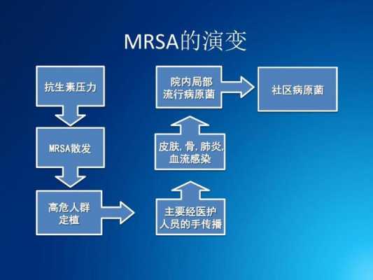 mrsa演变过程（mrsa的概念是什么）-图1