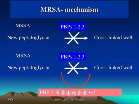 mrsa演变过程（mrsa的概念是什么）-图2