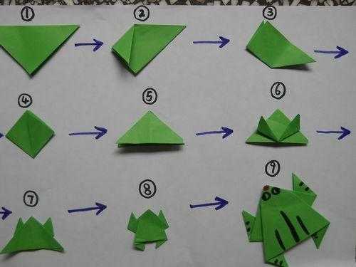 包含大班折纸青蛙过程的词条-图1