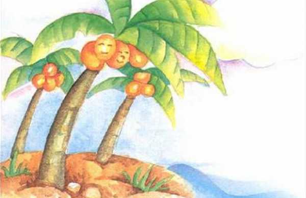 椰子成长过程童话（椰子树成长记）-图2