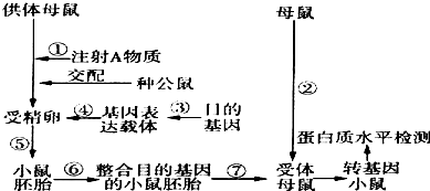 转基因过程包括（转基因基本过程）-图3