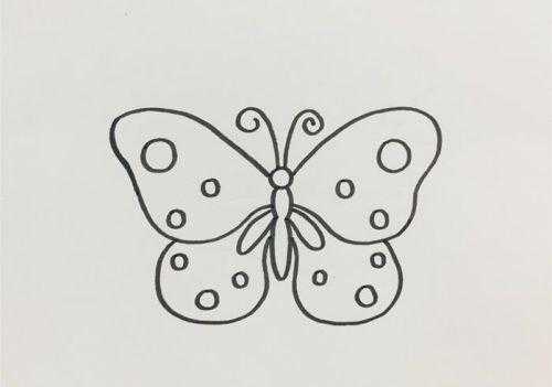 蝴蝶简易过程（简易蝴蝶的画法步骤）-图3