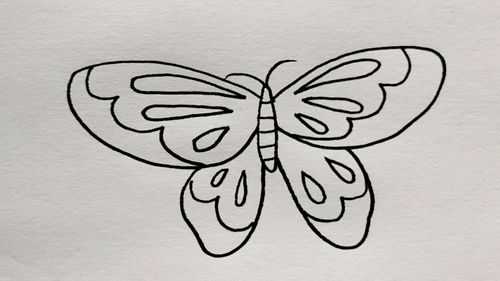 蝴蝶简易过程（简易蝴蝶的画法步骤）-图1