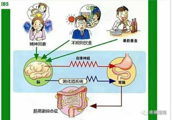 肠道感染治愈过程（肠道感染治愈过程图片）-图1