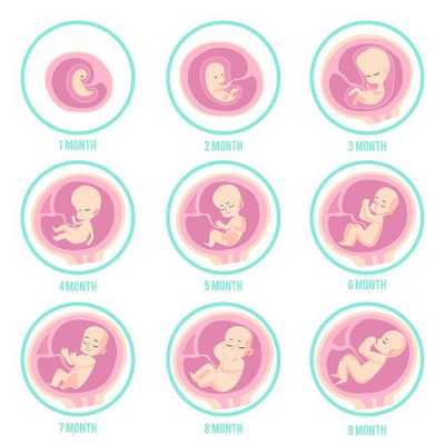 记录胎儿成长过程（记录胎宝宝成长的app）-图2