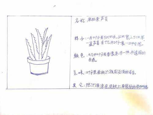 植物的过程摘抄（关于植物的过程）-图2