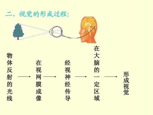 知觉三过程（知觉过程三个阶段）-图1