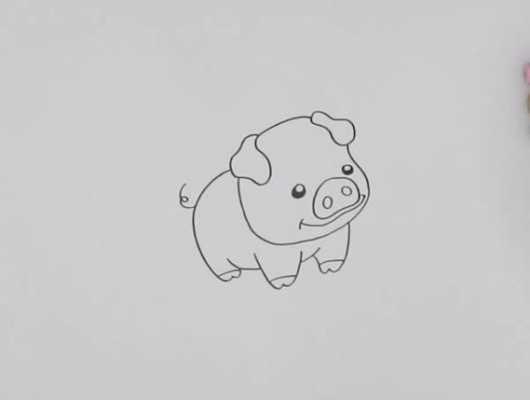 画小猪的过程（画小猪的过程怎么画）-图3