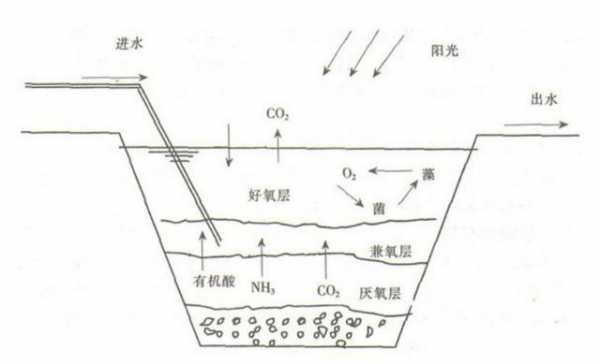 厌氧塘的过程（厌氧池如何形成厌氧）-图1